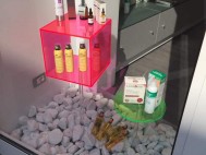 FB_IMG_1472113265094