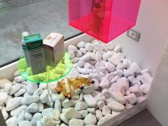 FB_IMG_1472113311788